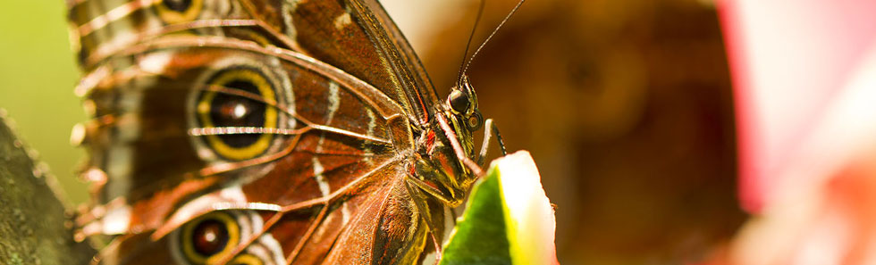 手机号测压平台