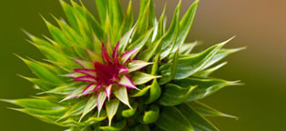 手机号测压平台